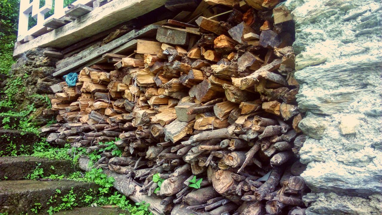 Enchanted Forest Farmstay Ґанґток Екстер'єр фото