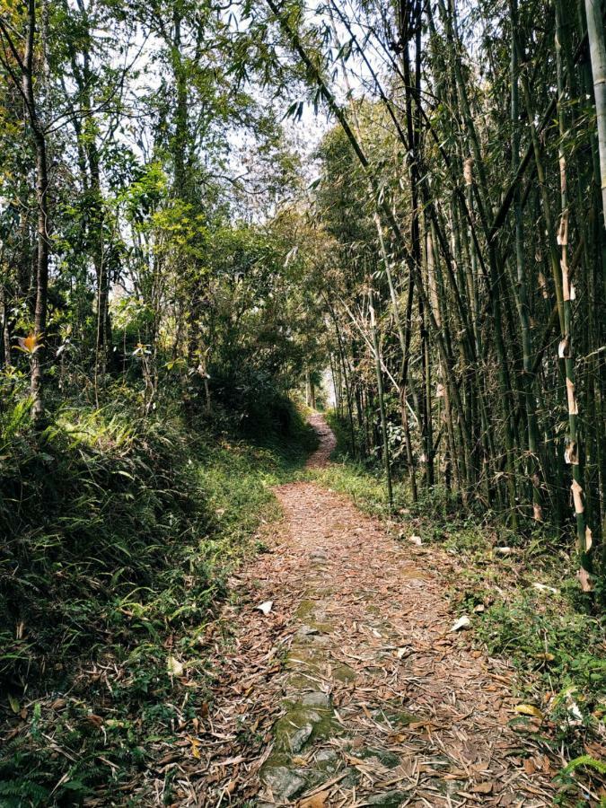 Enchanted Forest Farmstay Ґанґток Екстер'єр фото
