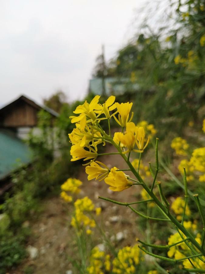 Enchanted Forest Farmstay Ґанґток Екстер'єр фото