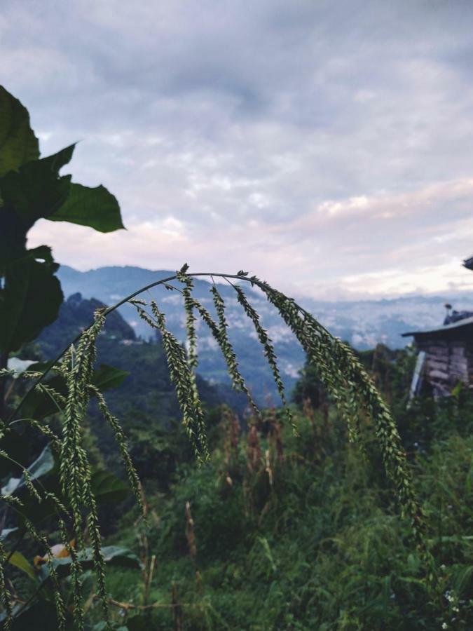 Enchanted Forest Farmstay Ґанґток Екстер'єр фото